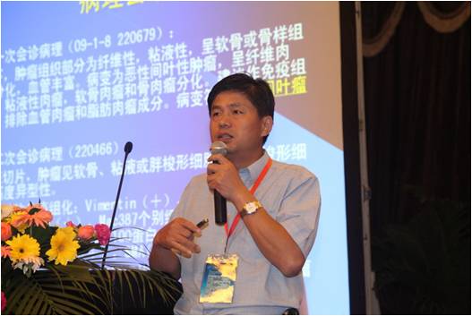 "第四届全军骨肿瘤学术研讨会"圆满落幕